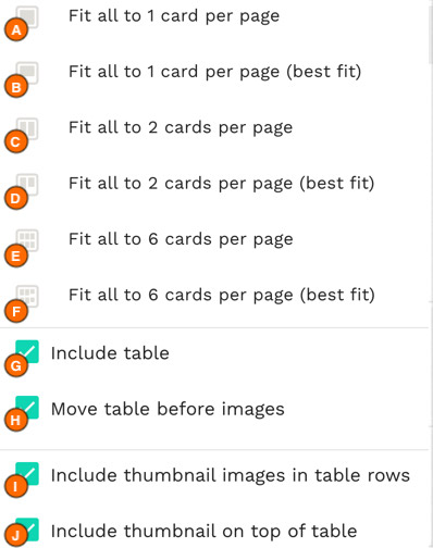 doc-view ptions new-2.jpeg